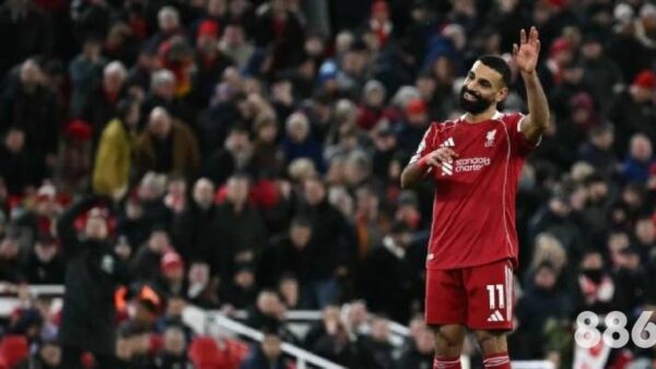 伟德体育下载视频app值得下载吗？关于2026世界杯你需要知道这些