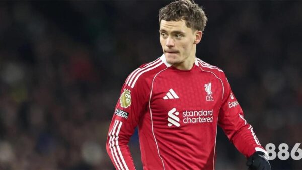 那次188 沙巴 im体育平台的惊喜预测，让我们看到了世界杯的另一面